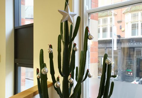 arch-christmas-blog-6